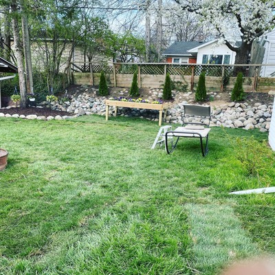Sod ,Grass, trees by Solis Lawn care